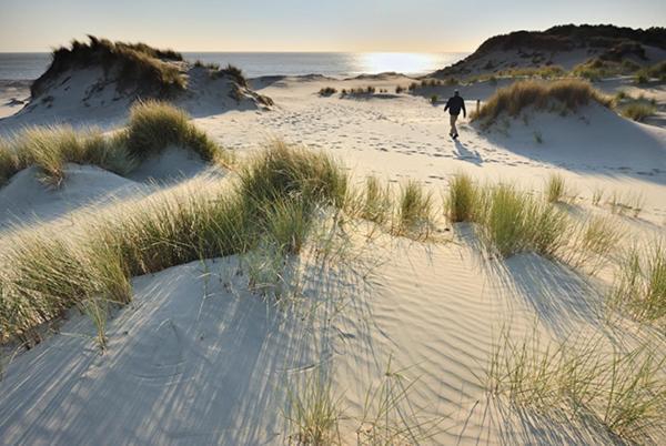 Heerlijk Vrijstaand Huis Aan De Duinen Бург-Хамстеде Экстерьер фото